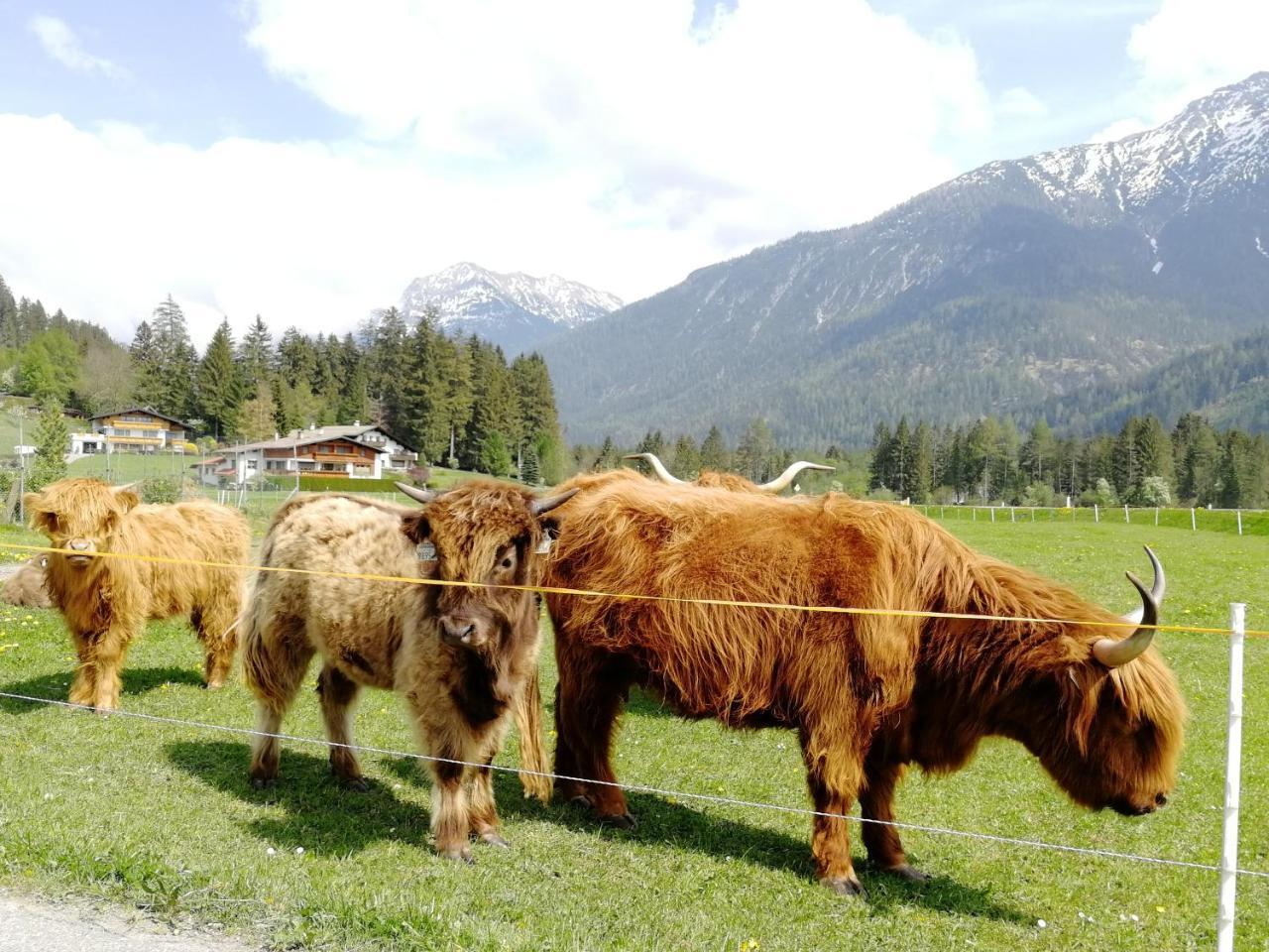 Camping Lechtal Vorderhornbach Luaran gambar